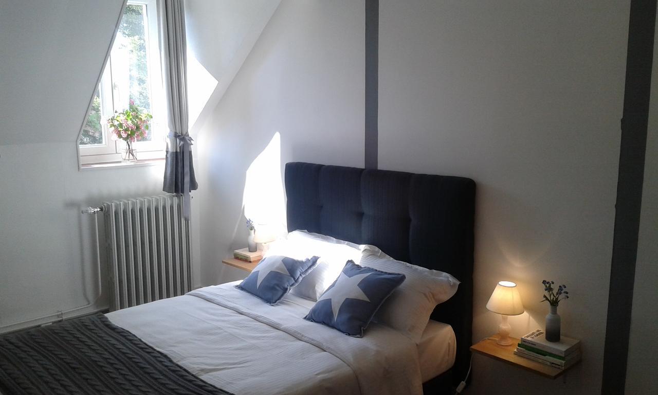 La Sauldre Bed & Breakfast Vailly-sur-Sauldre Eksteriør bilde