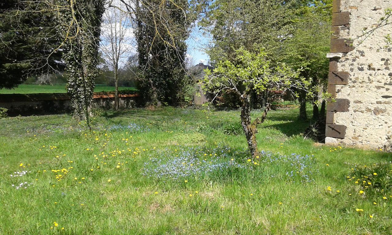 La Sauldre Bed & Breakfast Vailly-sur-Sauldre Eksteriør bilde