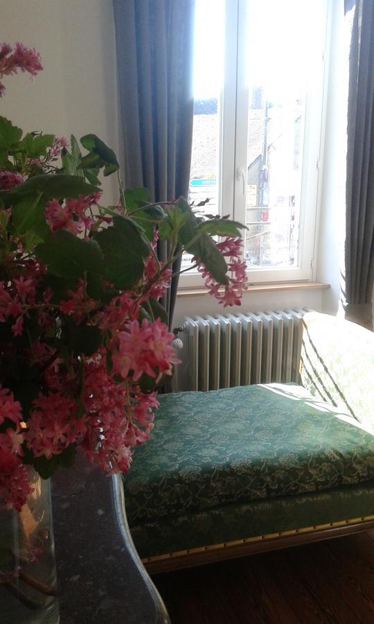 La Sauldre Bed & Breakfast Vailly-sur-Sauldre Eksteriør bilde